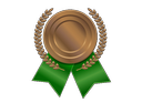 Bronze Medal at Computer Poker Competition 2010